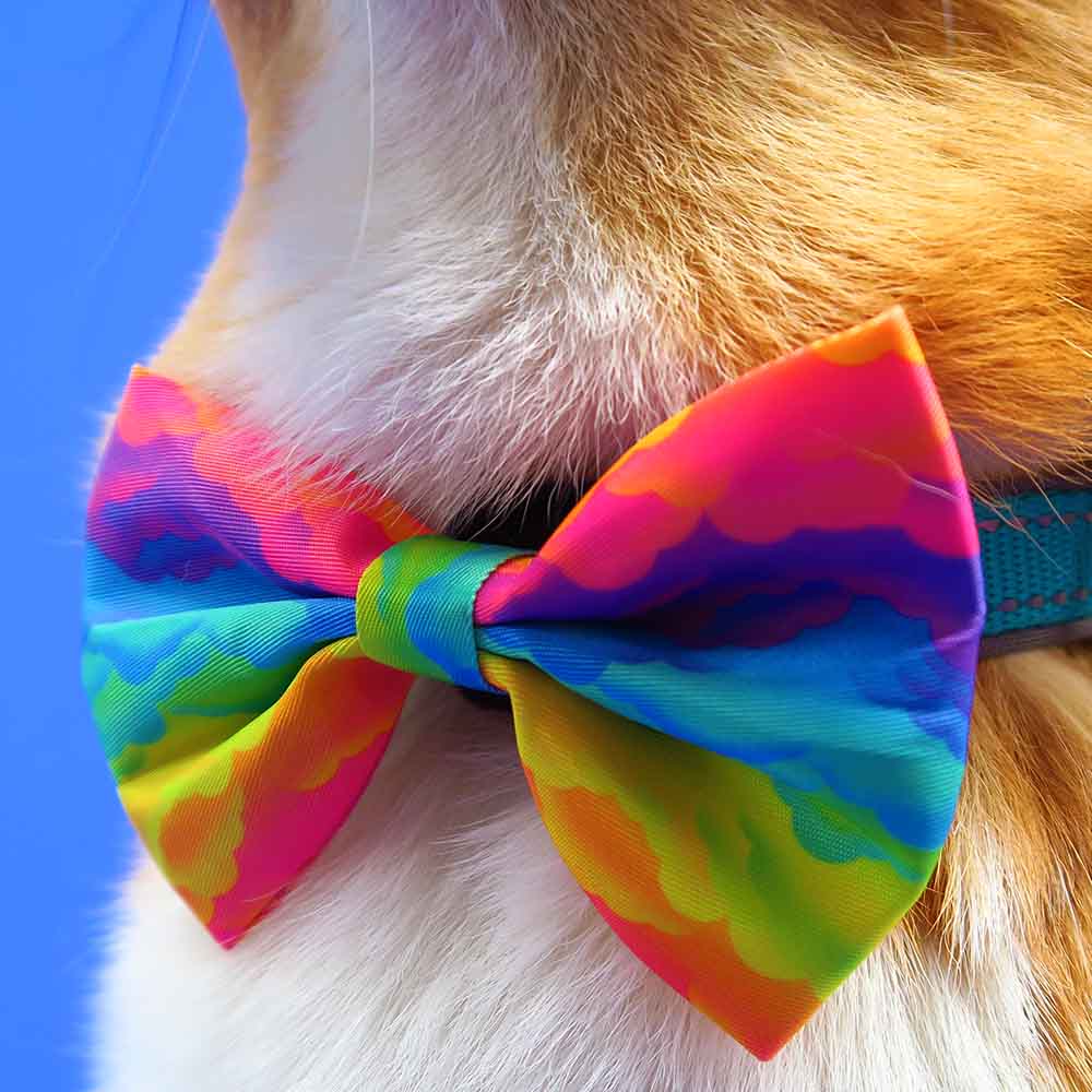 Regenboog strikje / bow tie hond