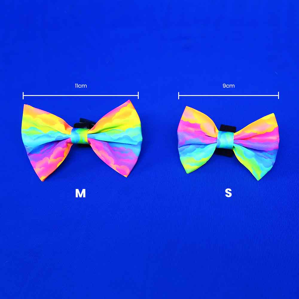 Regenboog strikje / bow tie hond