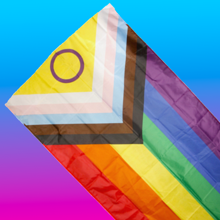 Intersex-Inclusive Progress Pride vlag 90 x 150 cm | LHBTI+