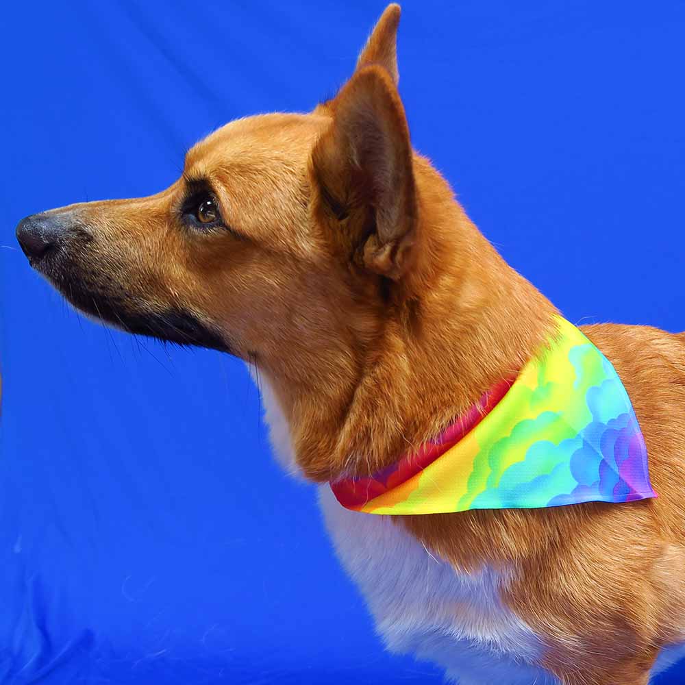 Regenboog bandana hond
