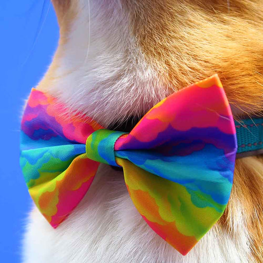 Regenboog strikje / bow tie hond