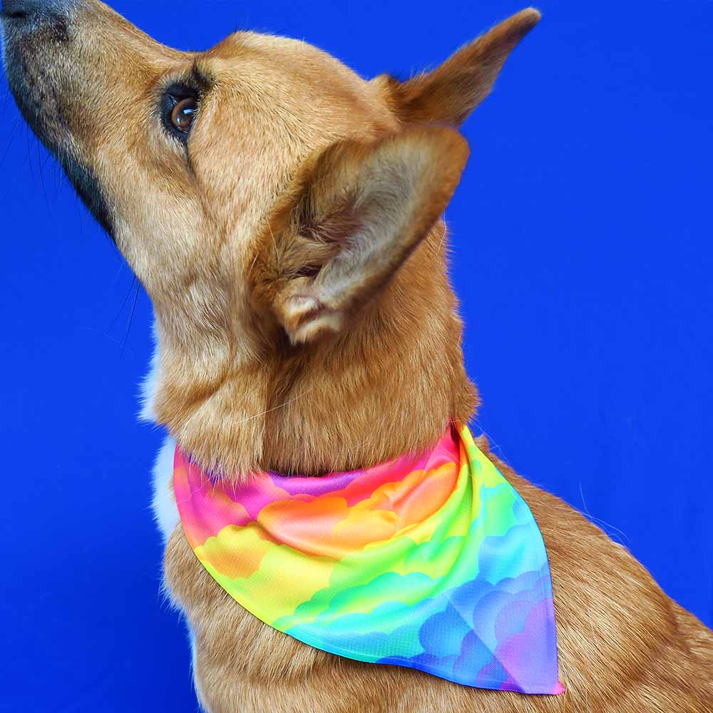 Regenboog bandana + strikje set