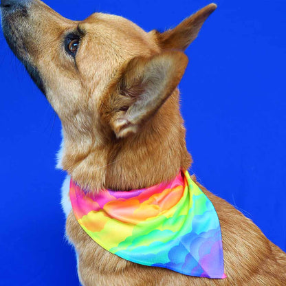 Regenboog bandana + strikje set