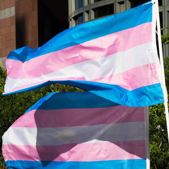 Transgender Transexueel vlag pride the gay way 